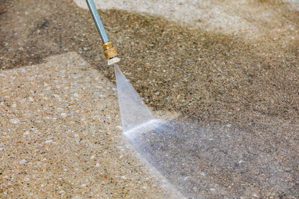 Animal Enclosure Cleaning in Walden, NY